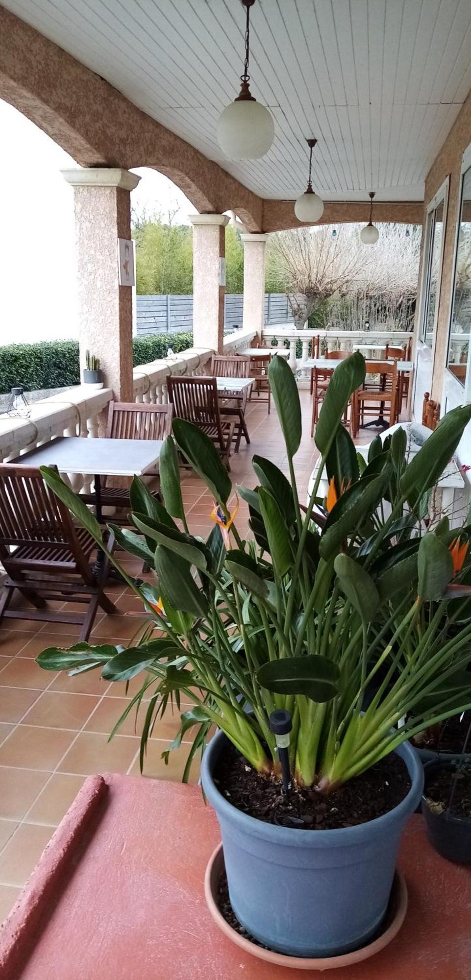 Le Grand Jardin Ξενοδοχείο Aujargues Εξωτερικό φωτογραφία